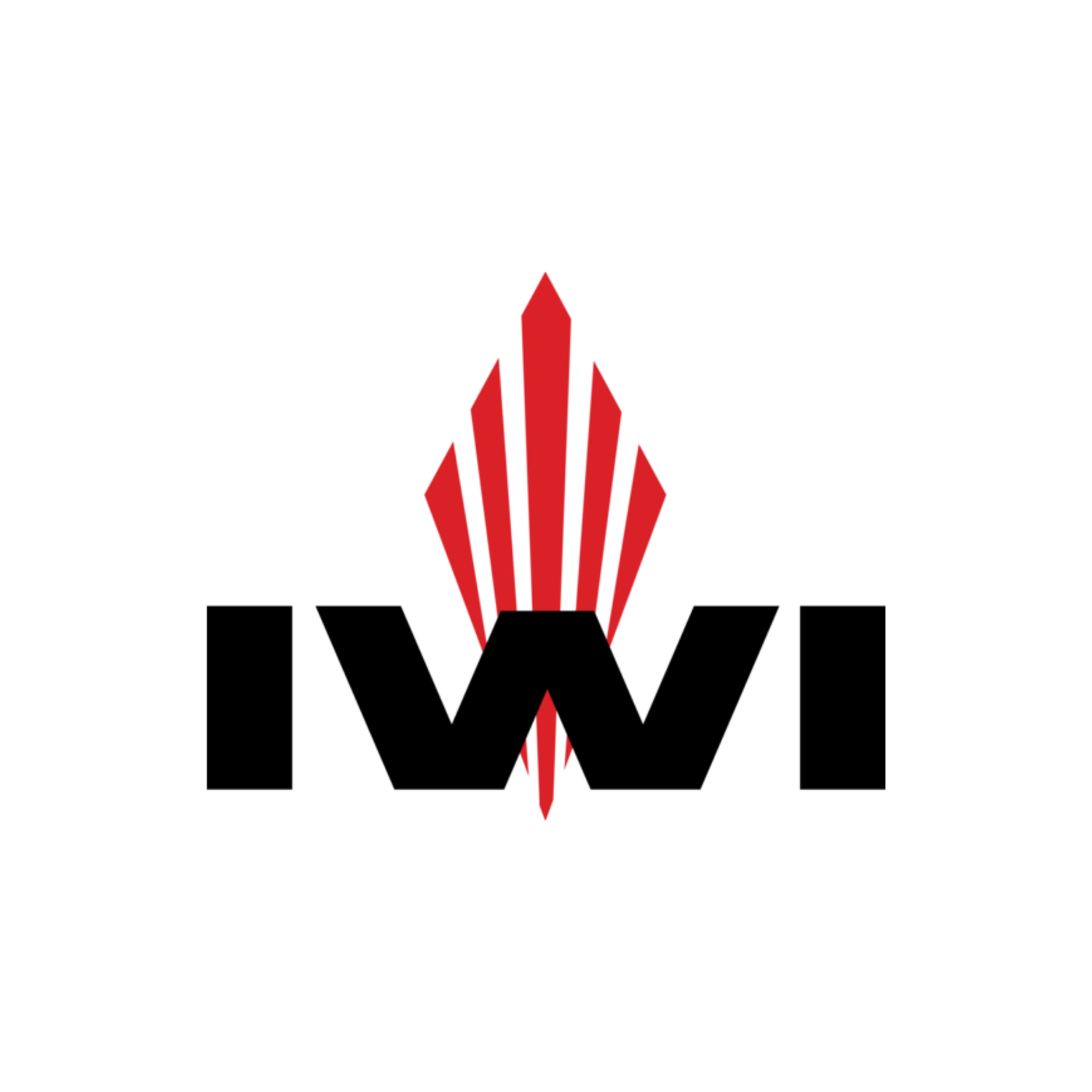 IWI Grips